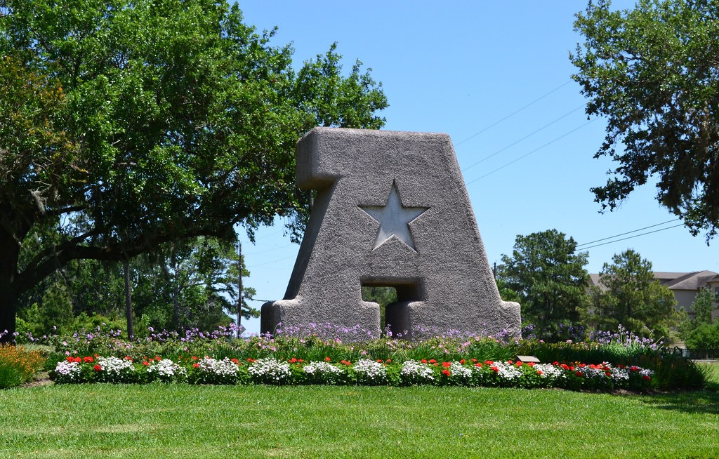 Garage Door Repair Services in Atascocita, TX