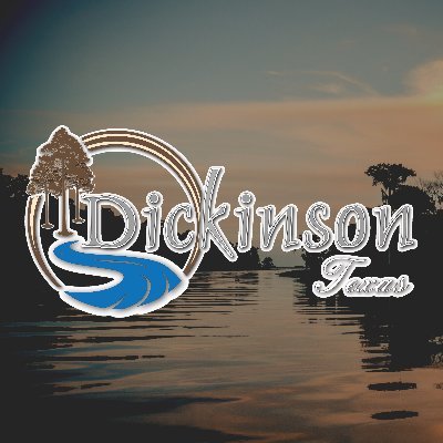 Garage Door Repair Services in Dickinson, TX