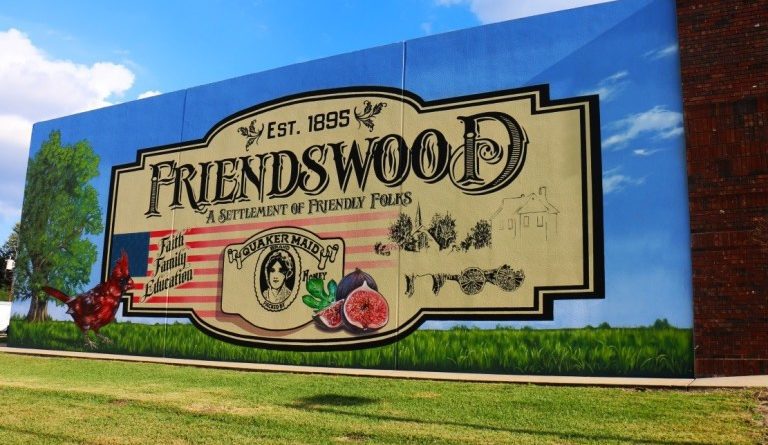 Garage Door Repair Services in Friendswood, TX