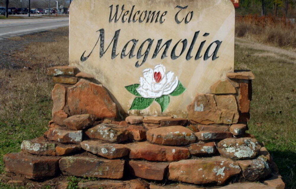 Garage Door Repair Services in Magnolia, TX