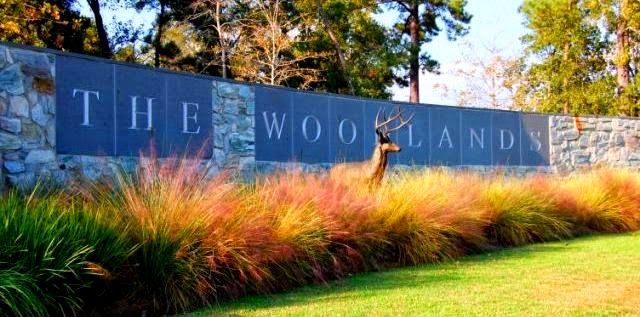 Garage Door Repair Services in The Woodlands, TX